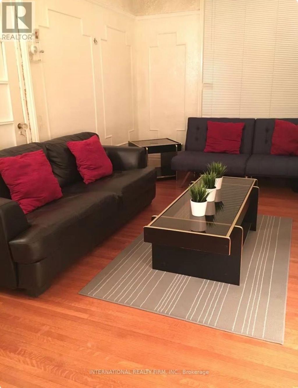Main - 132 Grace Street, Toronto (trinity-Bellwoods)