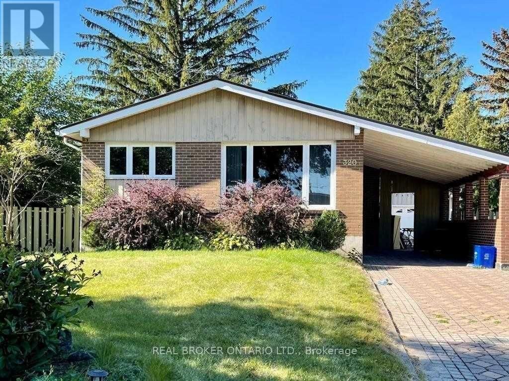 (lower Level, Basement) - 320 Williams Avenue, Milton (om Old Milton)