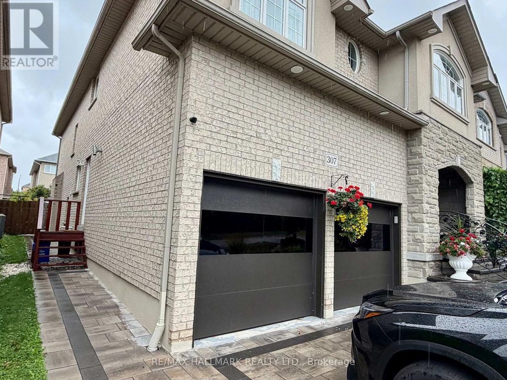 Basement - 307 Weldrick Road E, Richmond Hill (harding)