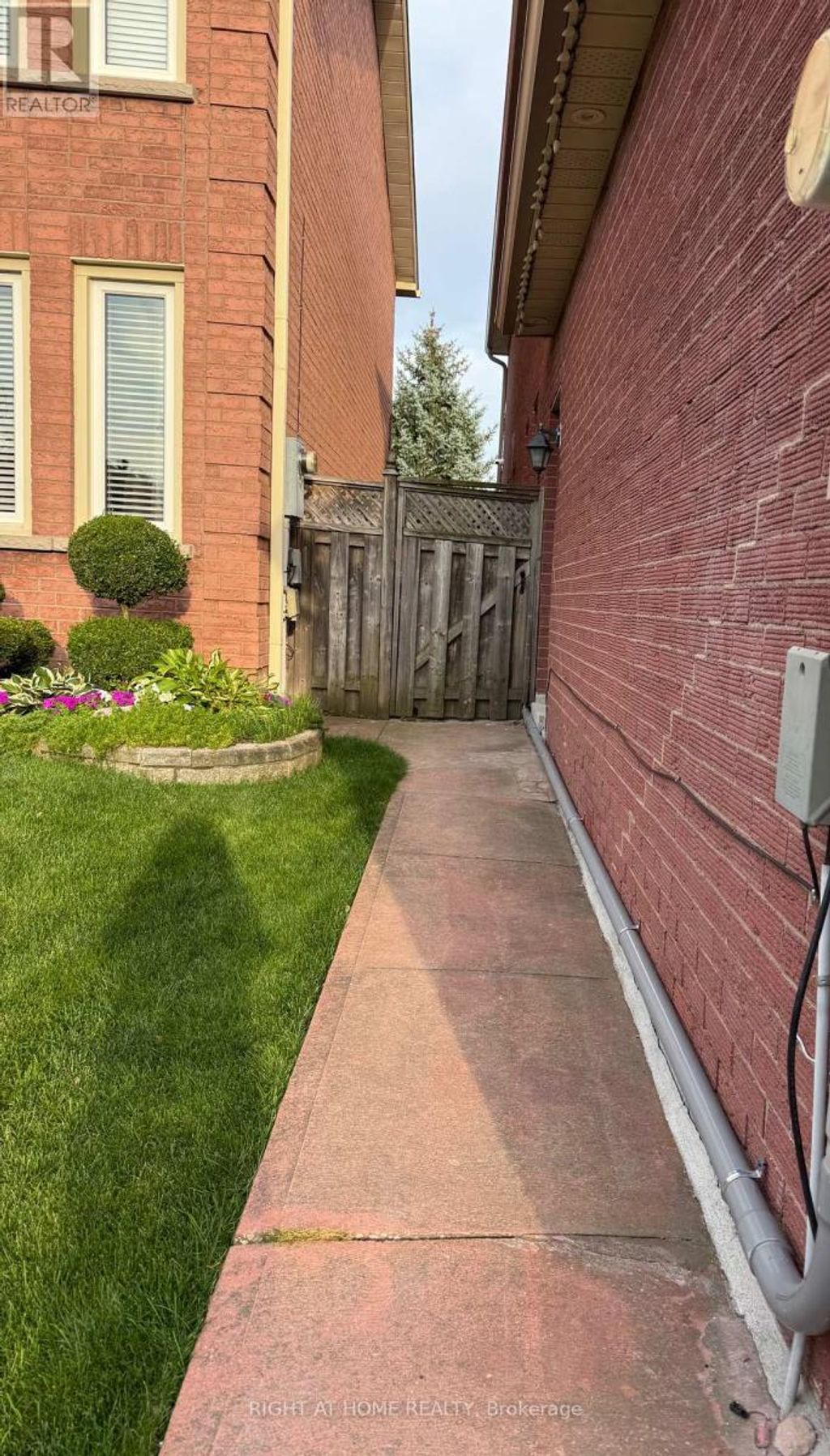 Basement - 372 Winfield Terrace, Mississauga (hurontario)