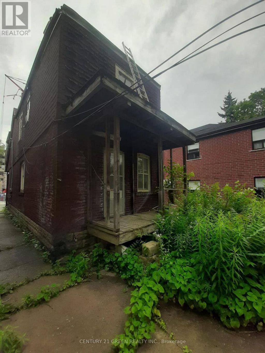 384 Coxwell Avenue, Toronto (greenwood-Coxwell)