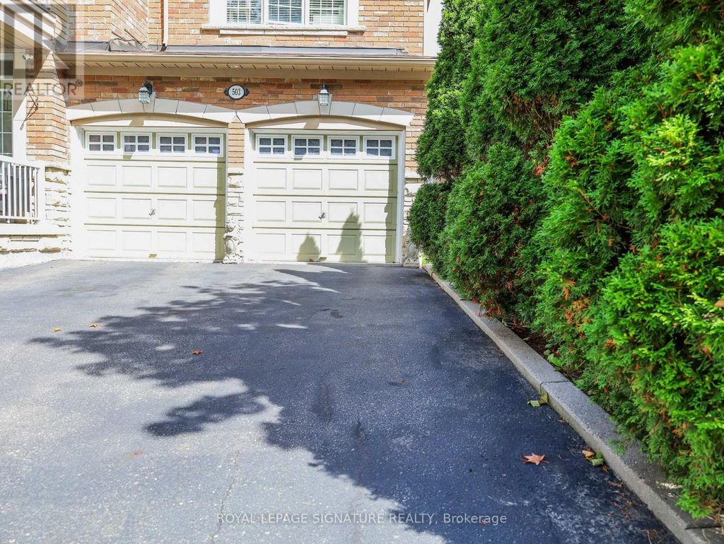 Basement - 503 Thornhill Woods Drive, Vaughan (patterson)
