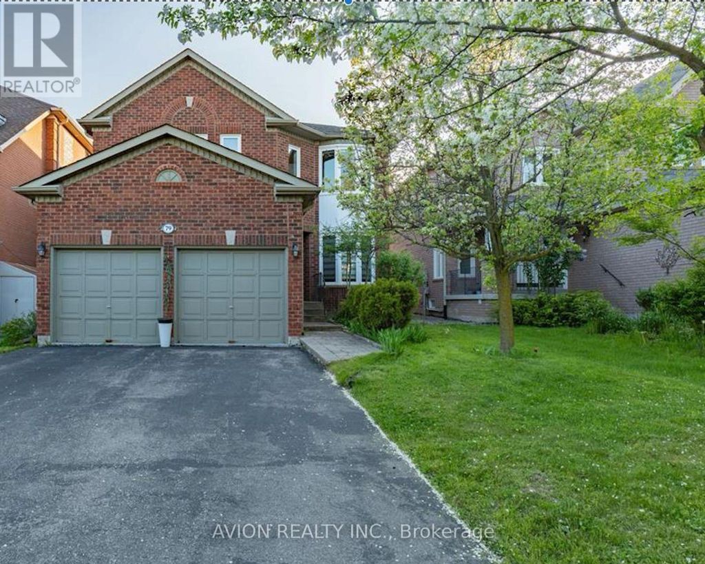 Basement - 79 Sweet Water Crescent, Richmond Hill (westbrook)