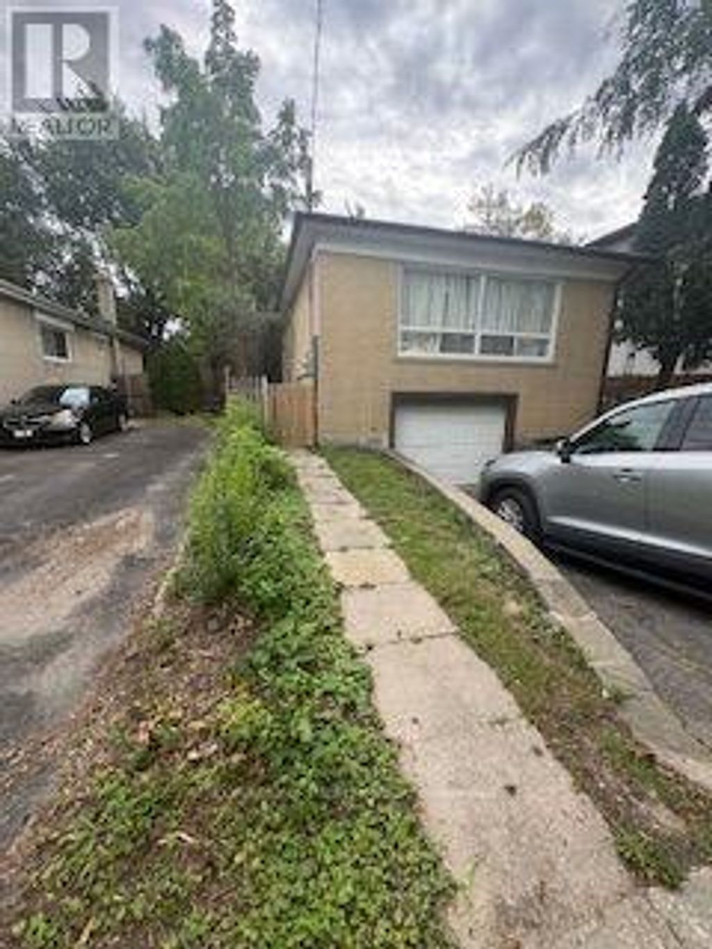 Lower - 55 Bishop Avenue, Toronto (newtonbrook East)