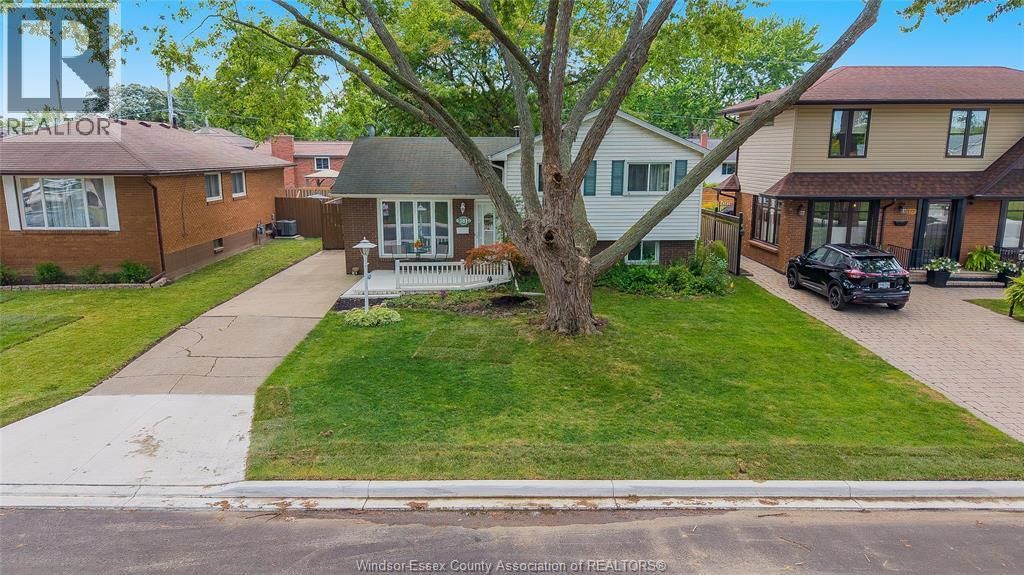 381 Carling, Windsor