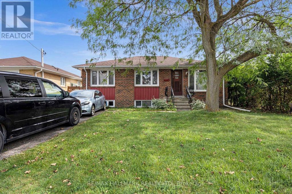 Bsmt - 37 Brisco Street, Brampton (brampton North)