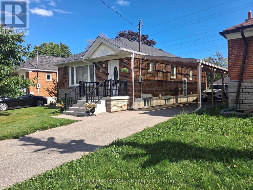 Bsmt - 107 Flora Drive, Toronto (dorset Park)
