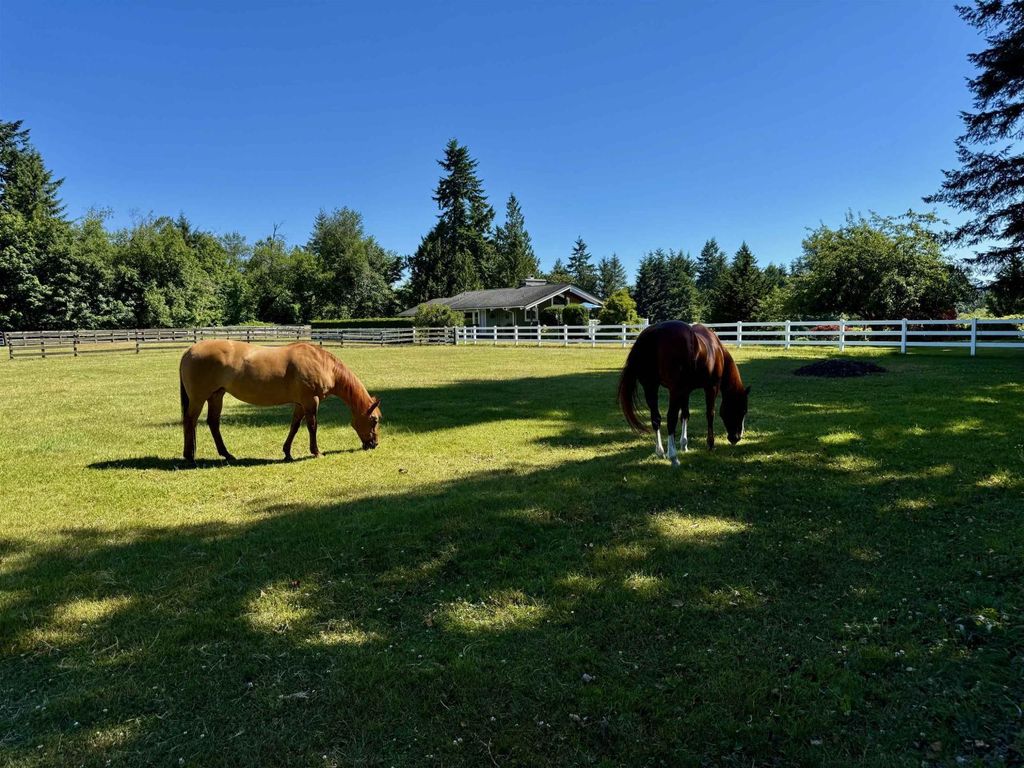 25177 64 Avenue, Langley