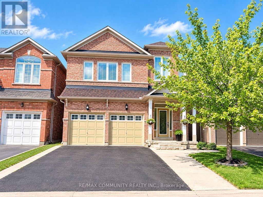 Basement - 3 Streamline Drive, Brampton (madoc)