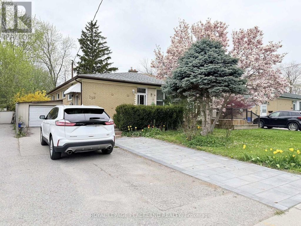 Basement - 230 Axminster Drive, Richmond Hill (crosby)