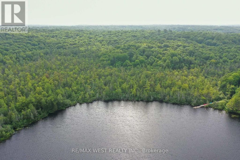 1160 Butterfly Road, Muskoka Lakes (medora)