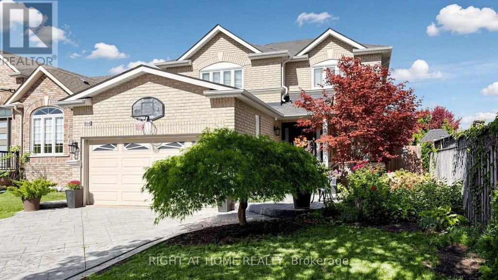 44 Robertson Close, Vaughan (maple)