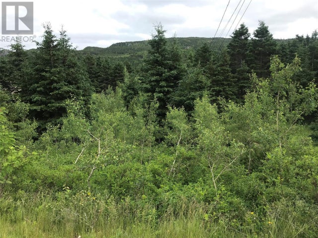 0 Snows Lane Road, North River