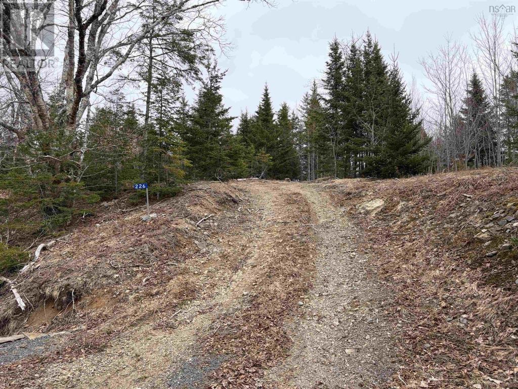 Lot 22-3 226 Brookville Branch Road, Bridgeville