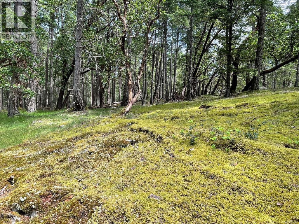 Lot 2 Driftwood Dr, Mudge Island