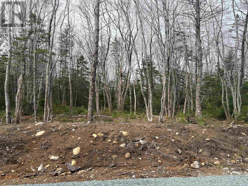 Lot 7 Larry Seldon Lane, Western Head