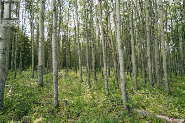 Lot 3, Range Road 84 Township Road 722, Wembley