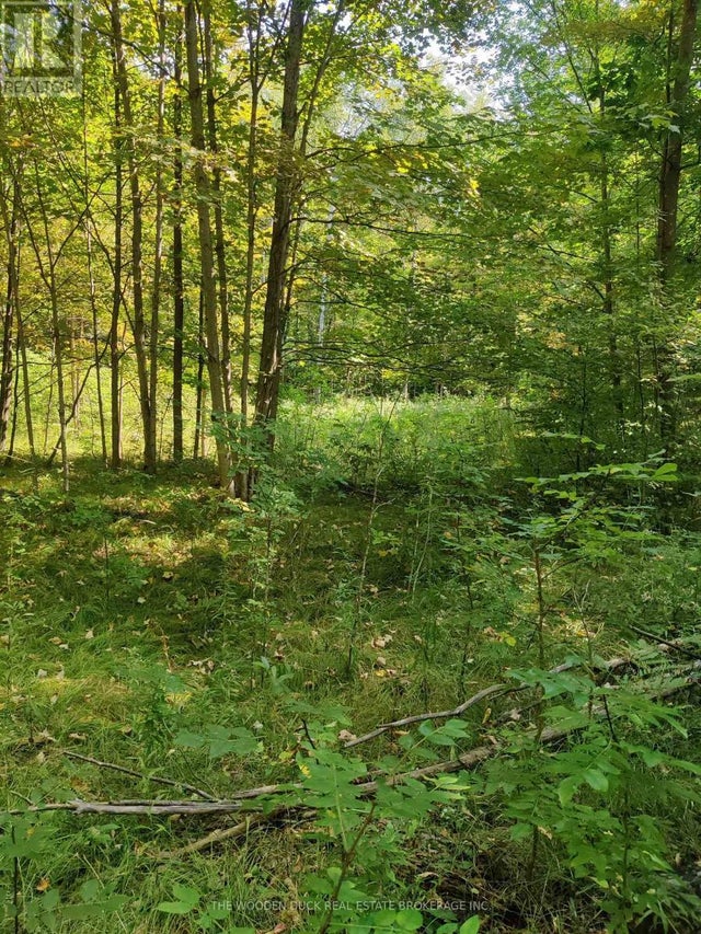 0east1 Road Allowance Road, Havelock-Belmont-Methuen (belmont-Methuen)