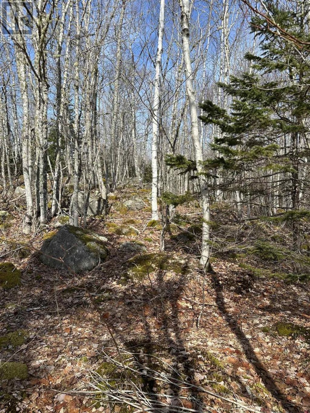 Lot 7 North River Road, Aylesford Lake