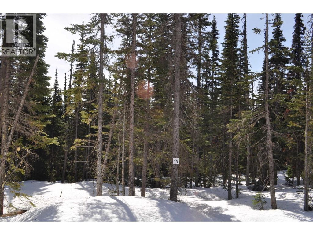 Pr. St Lt 13 Alpine Way, Smithers