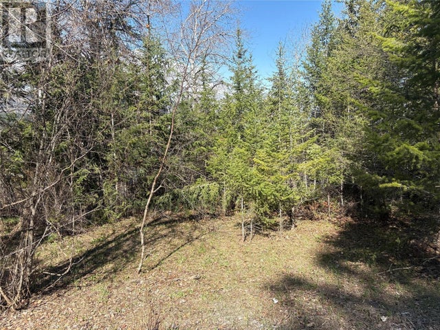 5185 Hot Springs Road, Fairmont Hot Springs