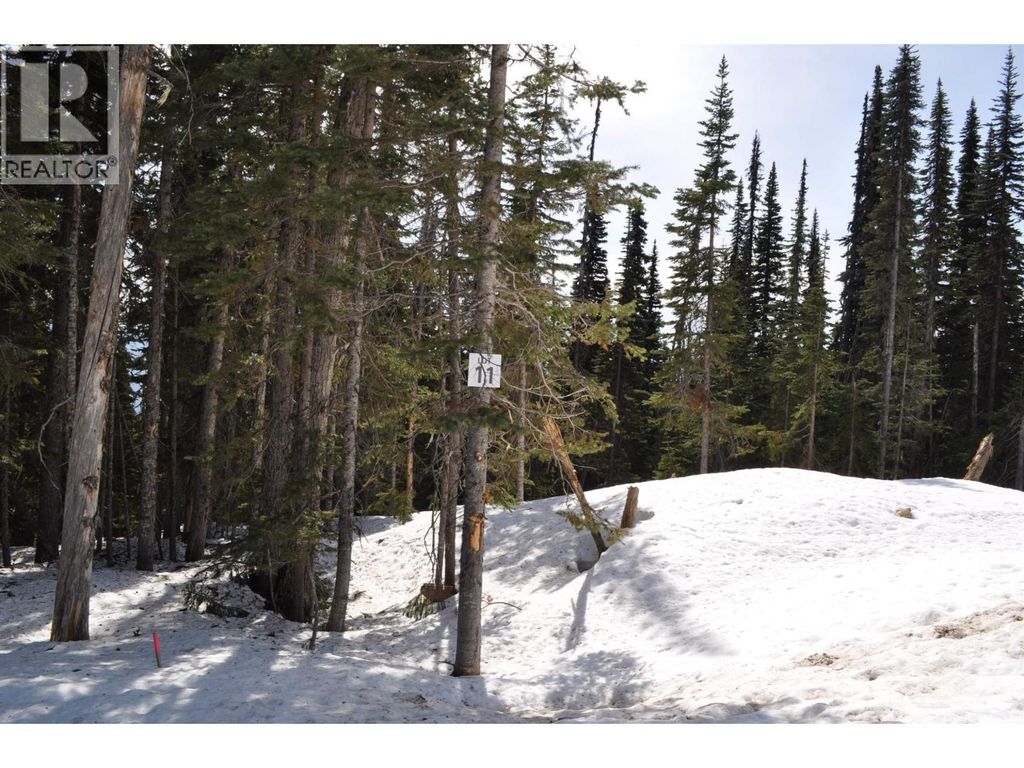 Pr. St Lt 11 Alpine Way, Smithers