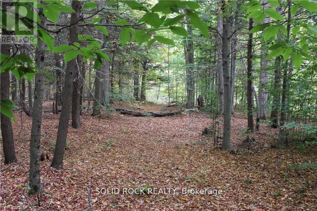 2209 Jochem Road, Edwardsburgh/cardinal