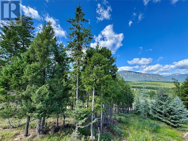 2522 Ledgerock Ridge, Invermere