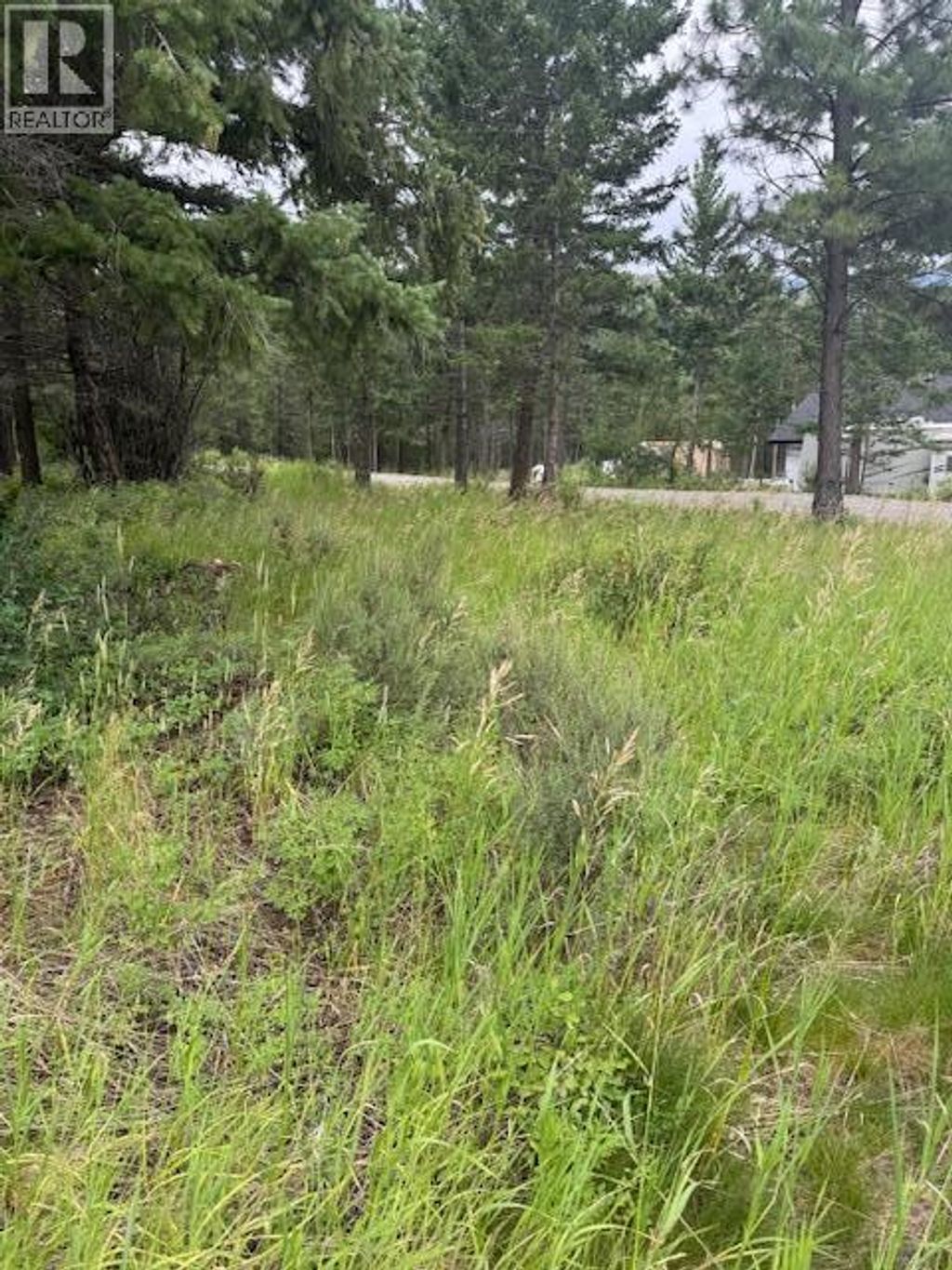 Lot 56 Charles Street, Elko