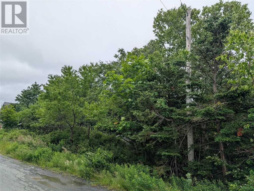 11 Parsons Place, Foxtrap