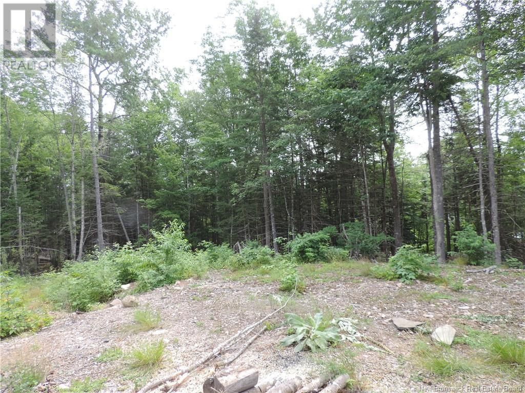 1293 Brittain Road, Lower Greenwich
