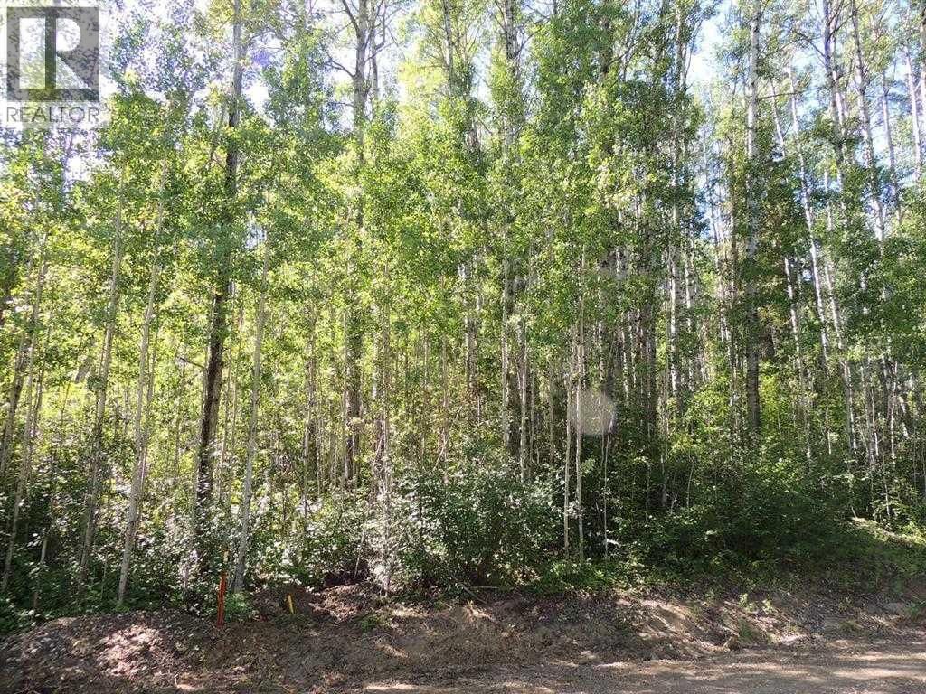 Lot #11 Wapiti River Sw-21-69-10-w6, Rural Grande Prairie No. 1, County Of