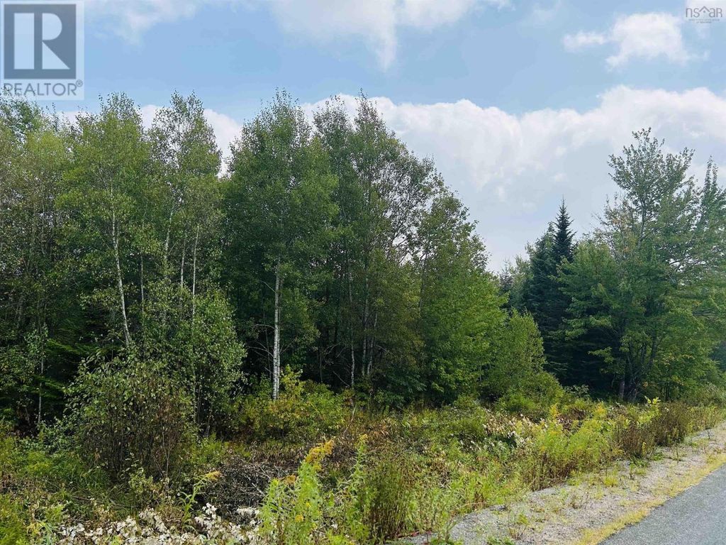 Lot Alpena Road, East Inglisville