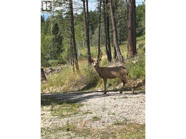 Csokony Road, Spur Valley