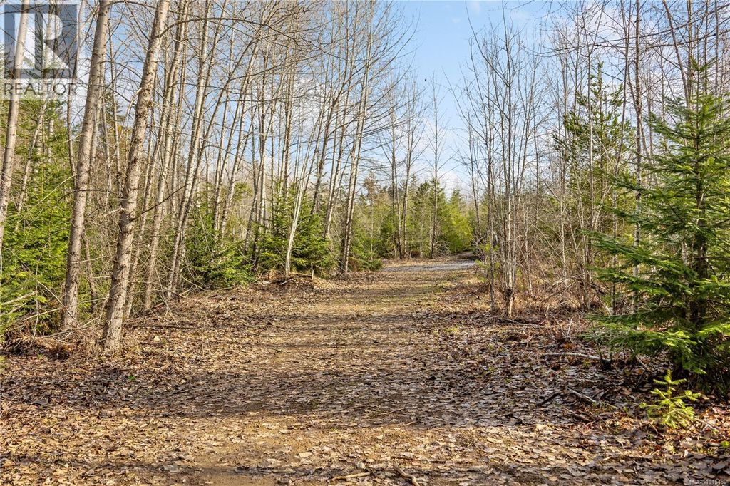 2745 Shaver Rd, Coombs