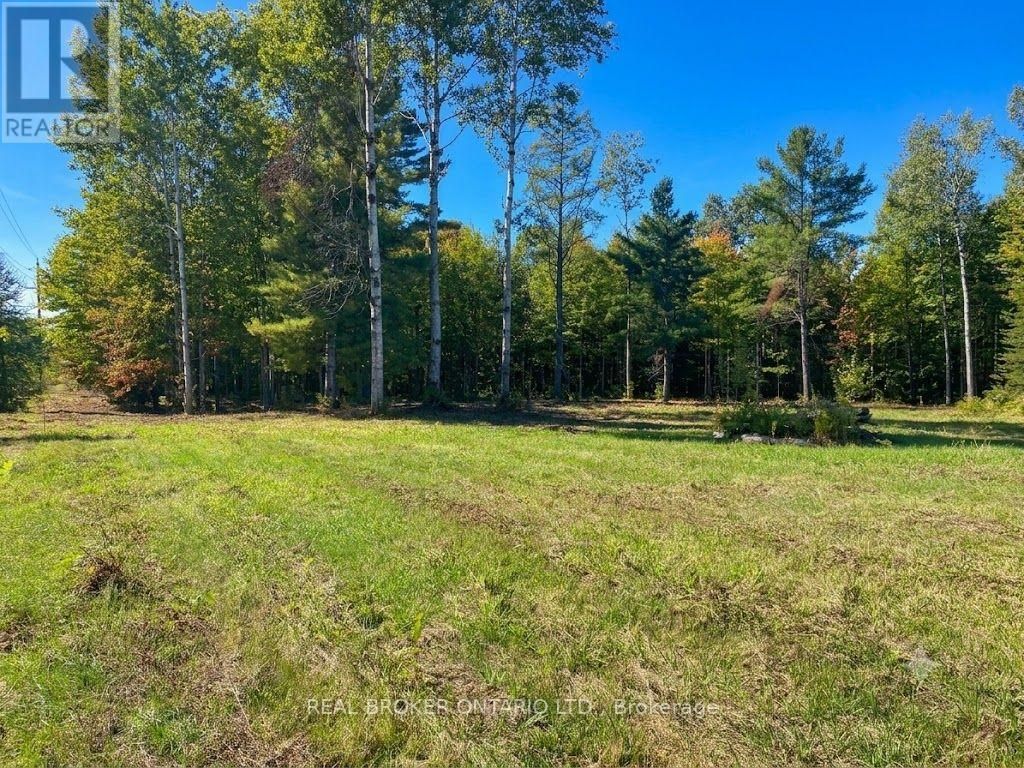 1248 Beiers Road, Gravenhurst (morrison)