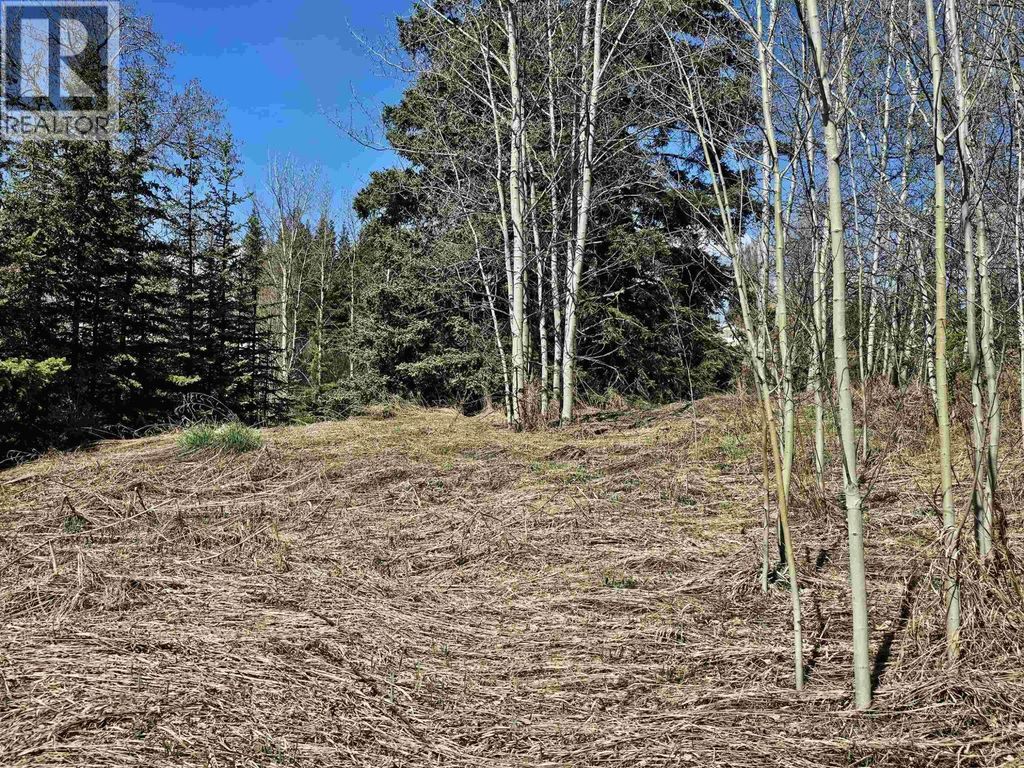 101 5th Avenue, Burns Lake