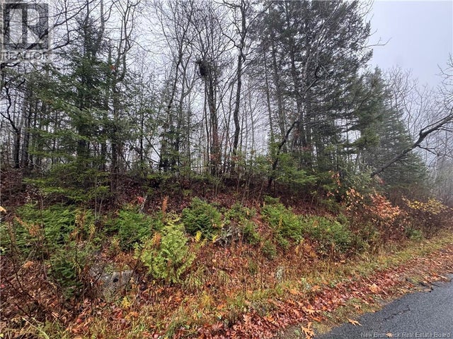 St. David Road, Oak Bay