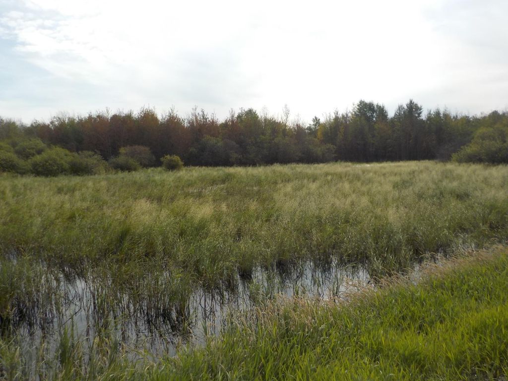 N/A, Redwater