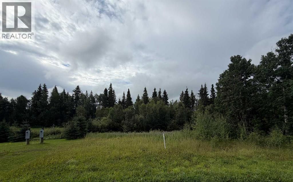 9, 15015 Township Road 424 Township, Rural Ponoka County