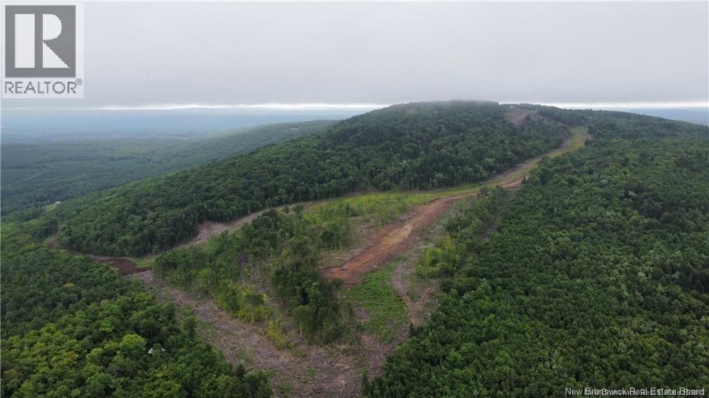 Lot 14 Crabbe Mountain, Central Hainesville