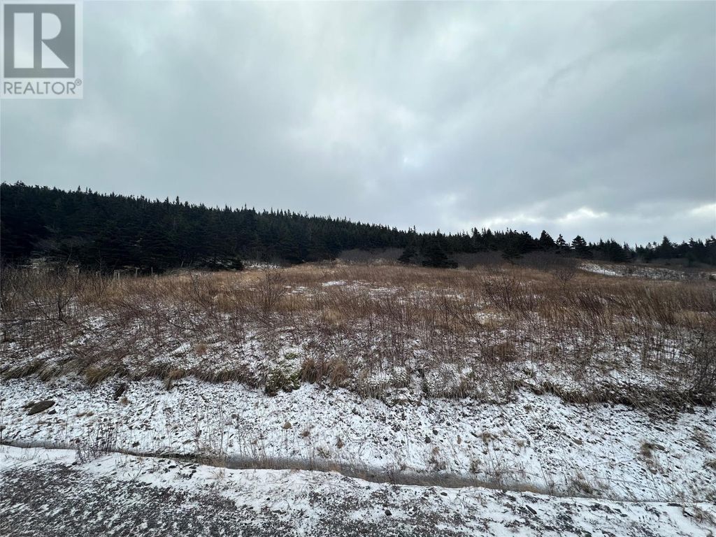 6b Top Road, Branch
