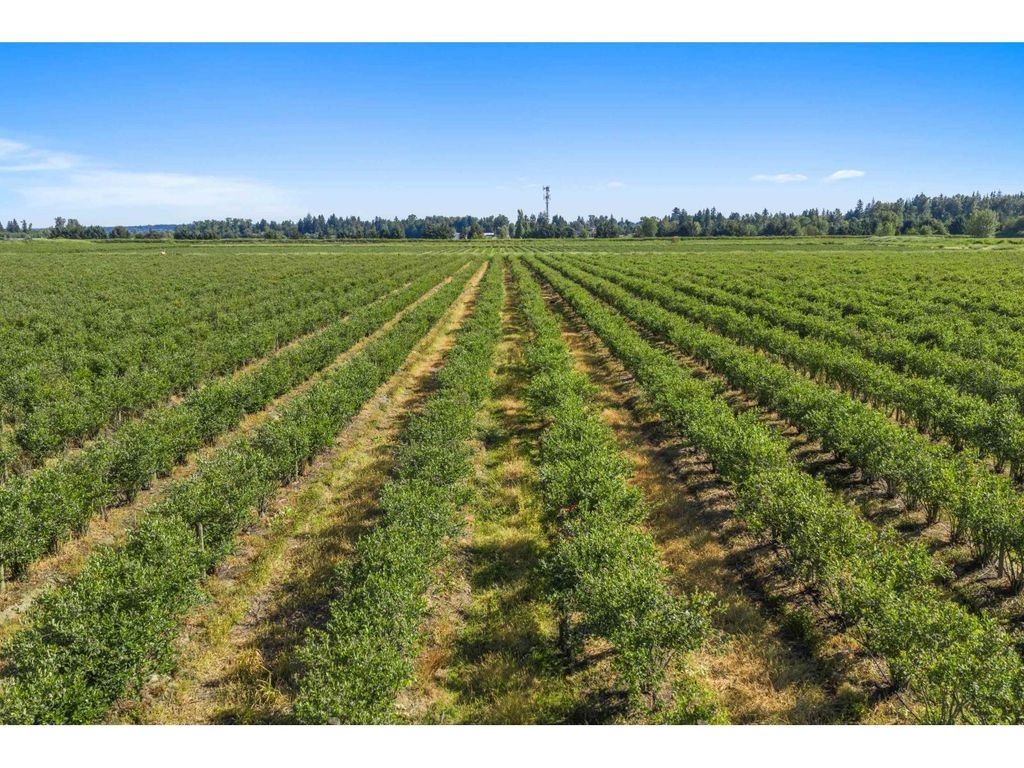 15683 64 Avenue, Surrey