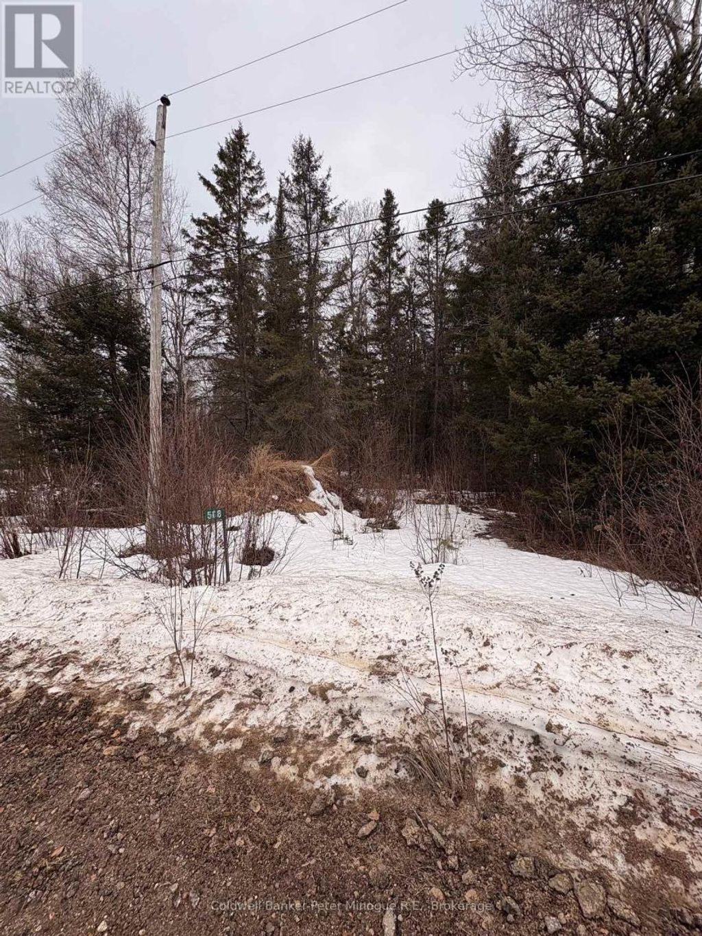 508 Sweezey Street, Powassan (trout Creek)