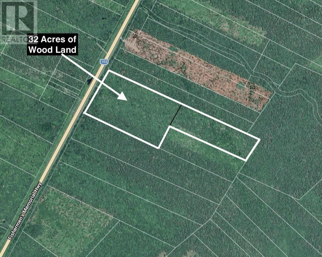 Lots (pids 70109236 & 70109244) Cow Road, Mill Village