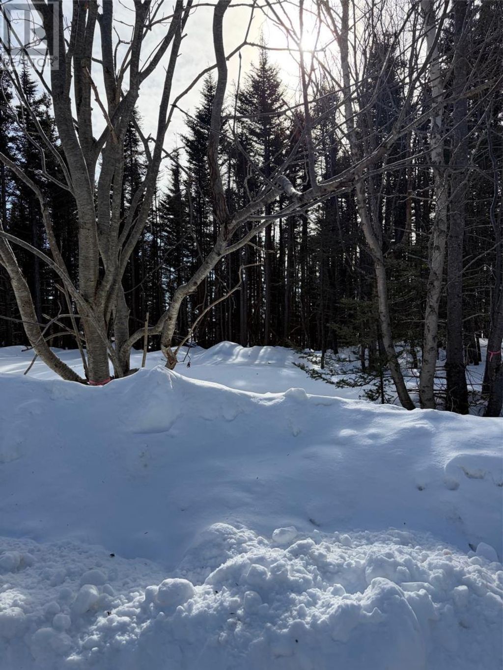38 Spruce Grove Road, Parson's Pond