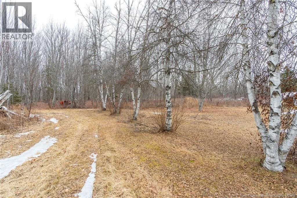 Lot 75-6 Petite Riviere, Aldouane