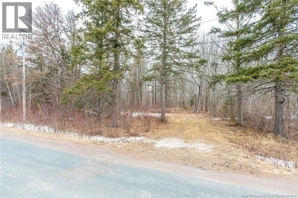 661 Ch Petite Riviere, Aldouane