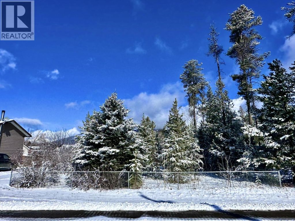 1044 9th Avenue, Valemount