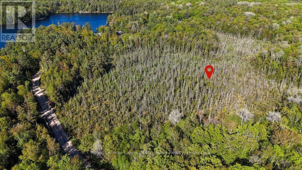 1356 Dickie Lake Road, Lake Of Bays (mclean)